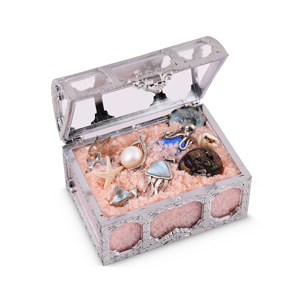 Neptune's Treasure silver chest package display